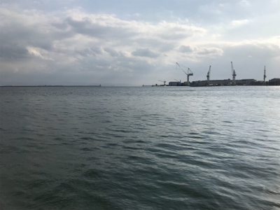 魚種限定解除！