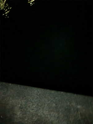 ナイトメバリング