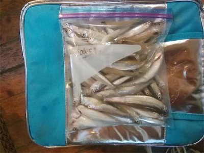 生野銀山 ワカサギ釣り①