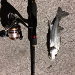 マリンピア沖洲でライトゲーム