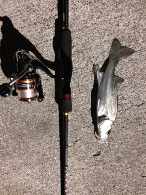 マリンピア沖洲でライトゲーム