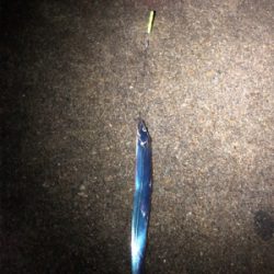 おチビのタッチ〜ʅ（◞‿◟）ʃ