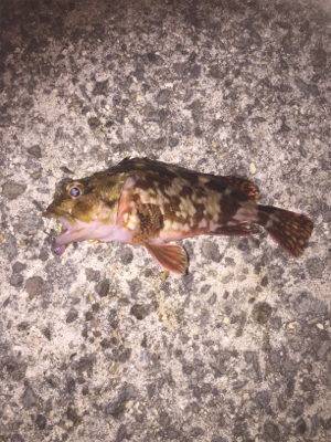 また仕事終わりに行ってしまいました