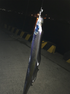 寒さも緩んで今年最期のタッチポン陸