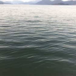 モーニングアジング