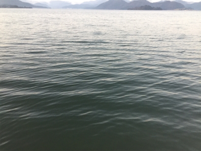 モーニングアジング