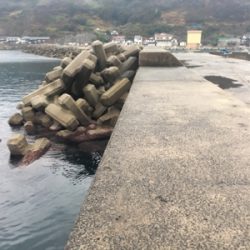 回遊がダメでも何か釣れるはず