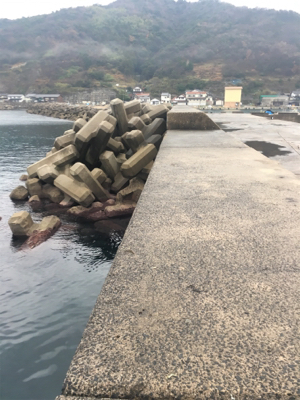 回遊がダメでも何か釣れるはず