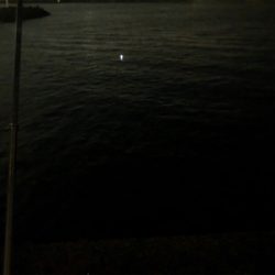 諦め悪いタッチーチャレンジ(^^)