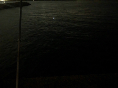 諦め悪いタッチーチャレンジ(^^)