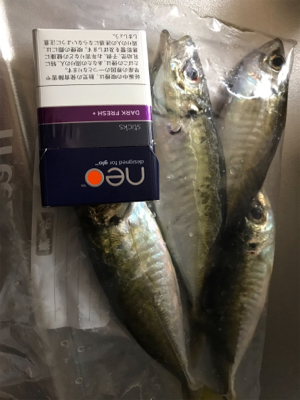 大潮なのに海面穏やか