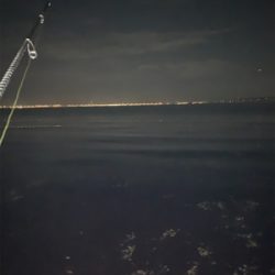 フロートメバル！