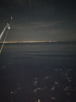 フロートメバル！