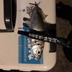 アジングプラクティス