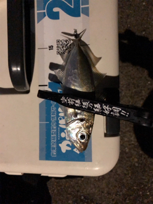 アジングプラクティス