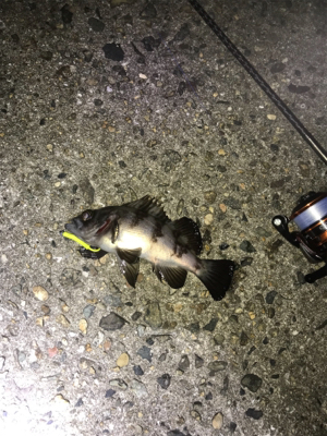 癒しのライトゲーム七目達成