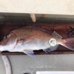 冬でもタイラバ面白い