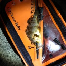 ライトゲーム日和