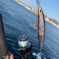 となりの◯◯ロ