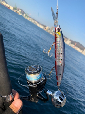 となりの◯◯ロ