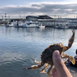 クジメ フカセ釣り