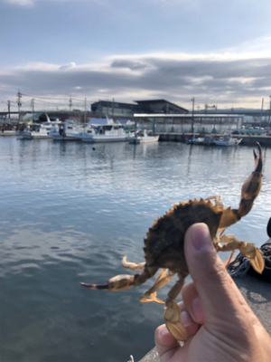 クジメ フカセ釣り