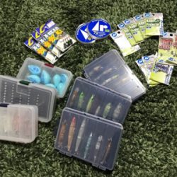 プラグで尺メバル