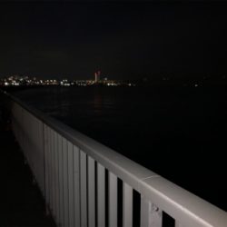 ヒイカエギング