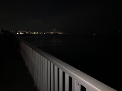 ヒイカエギング