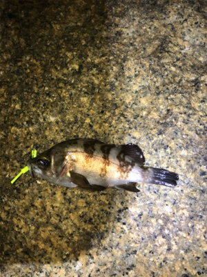 癒しのライトゲーム