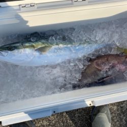 寒ブリを求めて 2