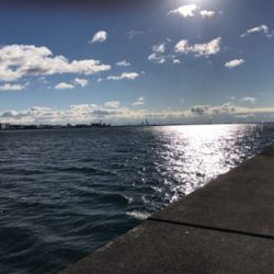 今年最後のノマセ釣り