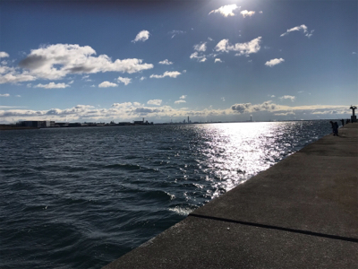 今年最後のノマセ釣り