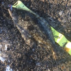 釣り納め1日目☆GUNNING-STYLE