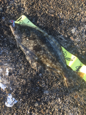 釣り納め1日目☆GUNNING-STYLE…