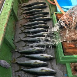 孝洋丸 落とし込み