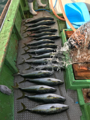 孝洋丸 落とし込み