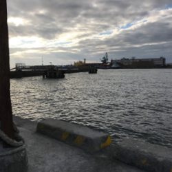 釣り納め タコ狙い