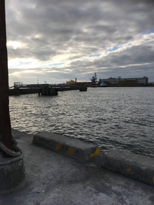 釣り納め タコ狙い