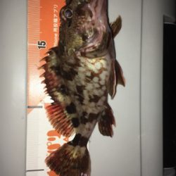 大晦日からの〜