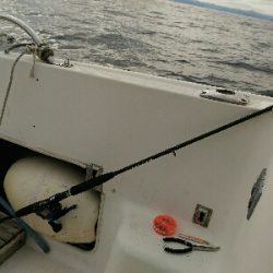 宇佐沖にて今年最後の釣り