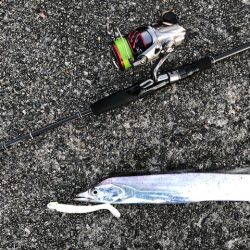 武庫一ワインド