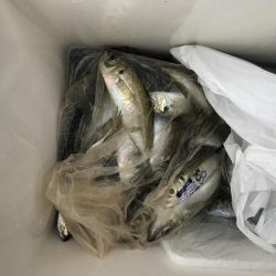 ショアジギングで狙うも