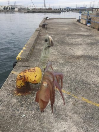 デイヒイカ撃沈