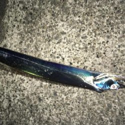 全然飽きません(笑)