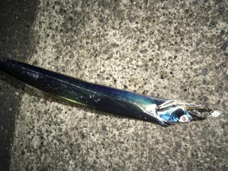 全然飽きません(笑)