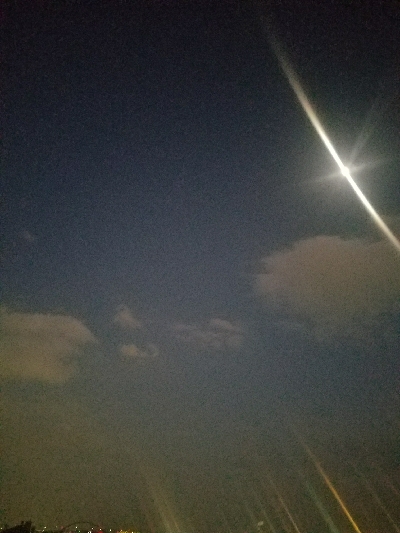 ガシラ釣り　～穴を見つけたらポコポコ～