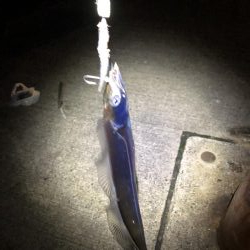 寒波が来る前に