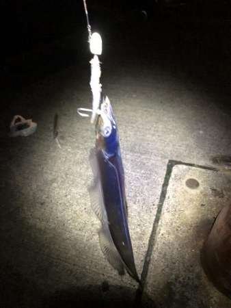 寒波が来る前に