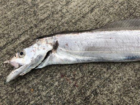 まだまだ遊べそう